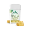 Wana Brand Gummies