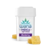 BLUEBERRY (MED) // INDICA Wana Gummies