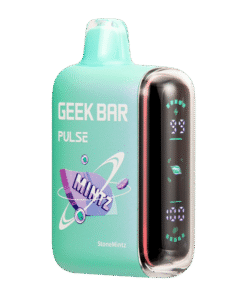 StoneMintz Geek Bar Pulse