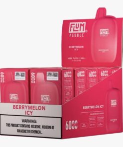 Berrymelon Icy 6000 puffs 10 pack