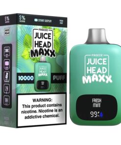 Juice Head Maxx 10000 Disposable Vape  (5%, 10000 Puffs) - Freeze Fresh Mint