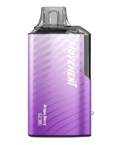 Lost Vape Movement LV18000 Disposable Vape (5%, 18000 Puffs) - Grape Berry