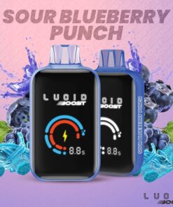 Lucid Boost Disposable Vape (5%, 20123 Puffs) - Sour Blueberry Punch