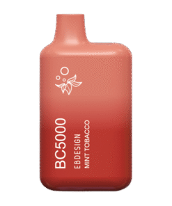Mint Tobacco BC5000 - Consumer / Single