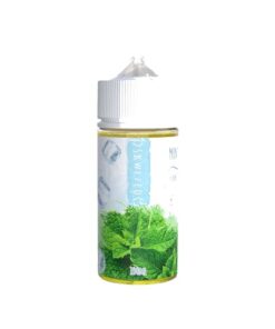 Skwezed Mint Ice 100ml