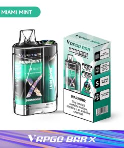 VAPGO BAR X 12K Disposable Vape  (5%, 12000 Puffs) - Miami Mint